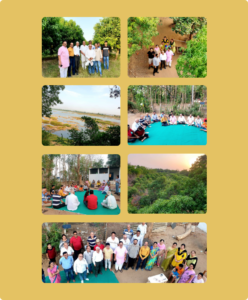 Read more about the article Mango Festival