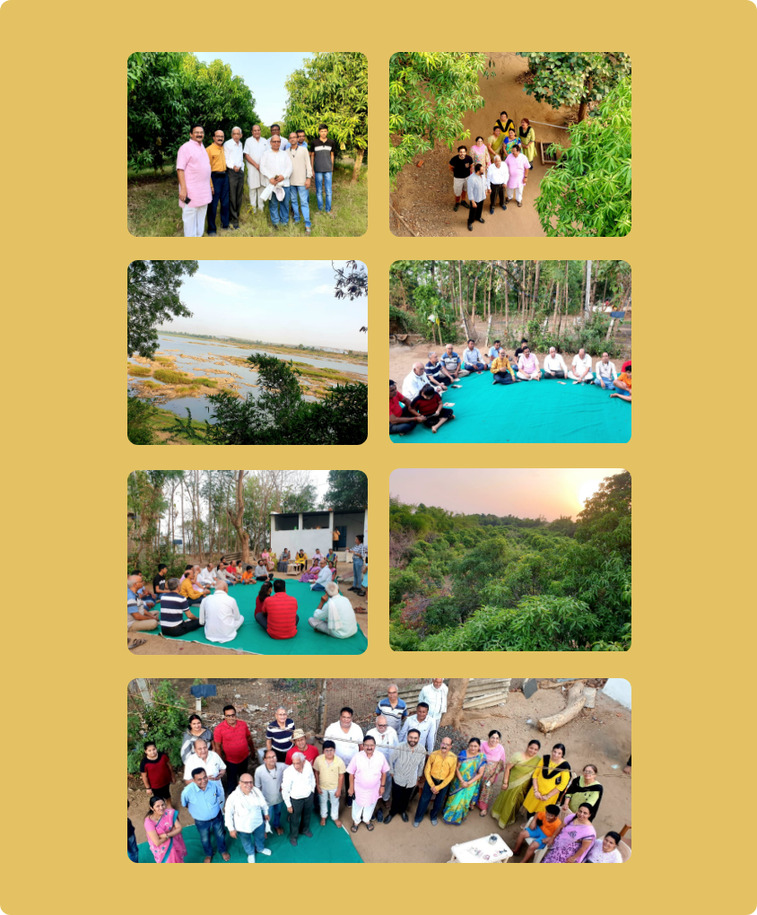 Read more about the article Mango Festival