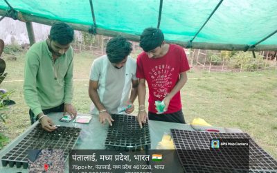 2661e5c6-b1df-4424-af5a-44ef0a66c1b7