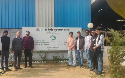 2ca93308-bdd6-4701-9d2e-fc2942470a53