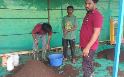 32d4c024-caf6-4224-9055-23f63a6c30fa