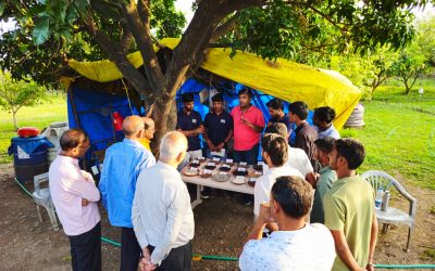 8991181f-b448-4773-853e-e6a6a66974a9