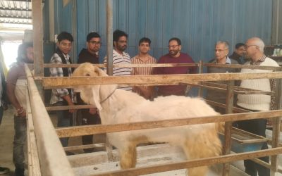 ce1d2e95-5a4d-49e1-947f-8034ba836d81