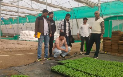 eb3084f8-7f80-4eca-8cce-23db15ed3e5c