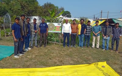 ebb17f26-58a2-4f98-bfe8-0e90305d41dd